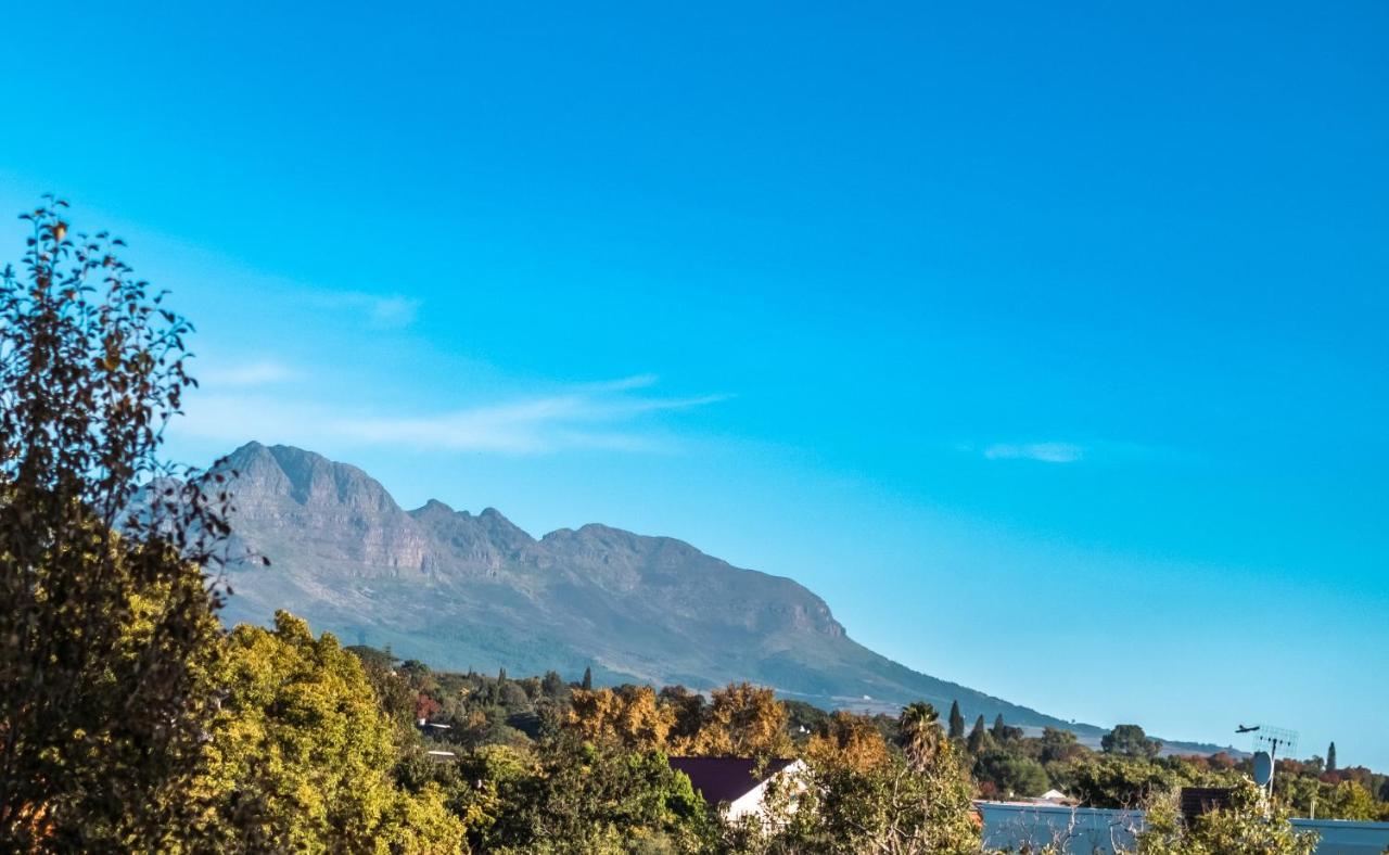 Luxury Suite Near Church Street Stellenbosch Dış mekan fotoğraf
